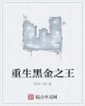 重生黑金之王