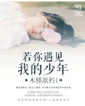 若你遇见我的少年