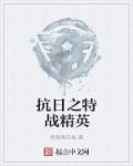 抗日之特战精英