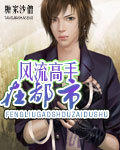 风流高手在都市
