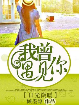 日光微暖：我曾遇见你