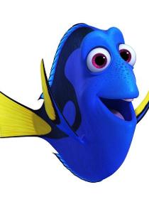 海底总动员2:多莉去哪儿里的多莉角色剧照