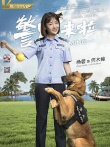 何木棉角色图片