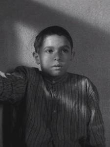 被涂污的鸟里的小男孩&nbsp;角色剧照