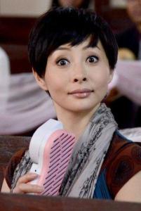 司马淑贞角色图片