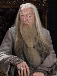 &nbsp;阿不思·邓布利多