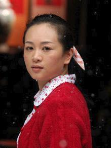 苏红梅角色图片