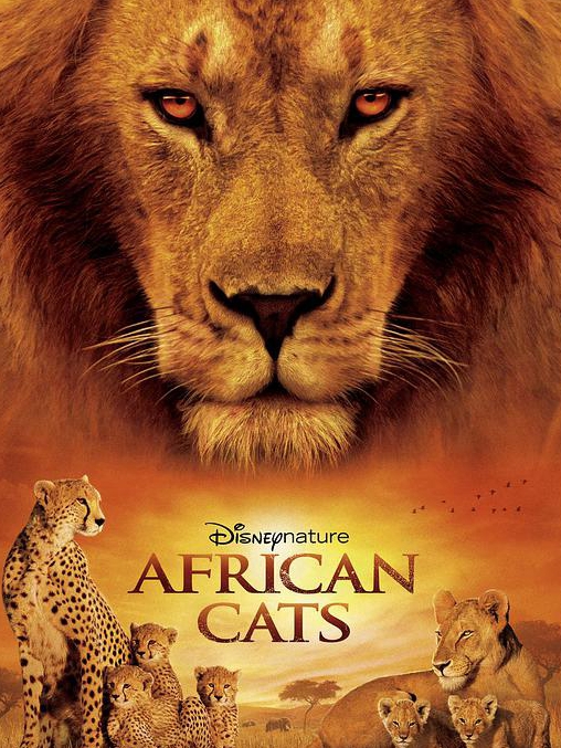 非洲猫科:勇气国度