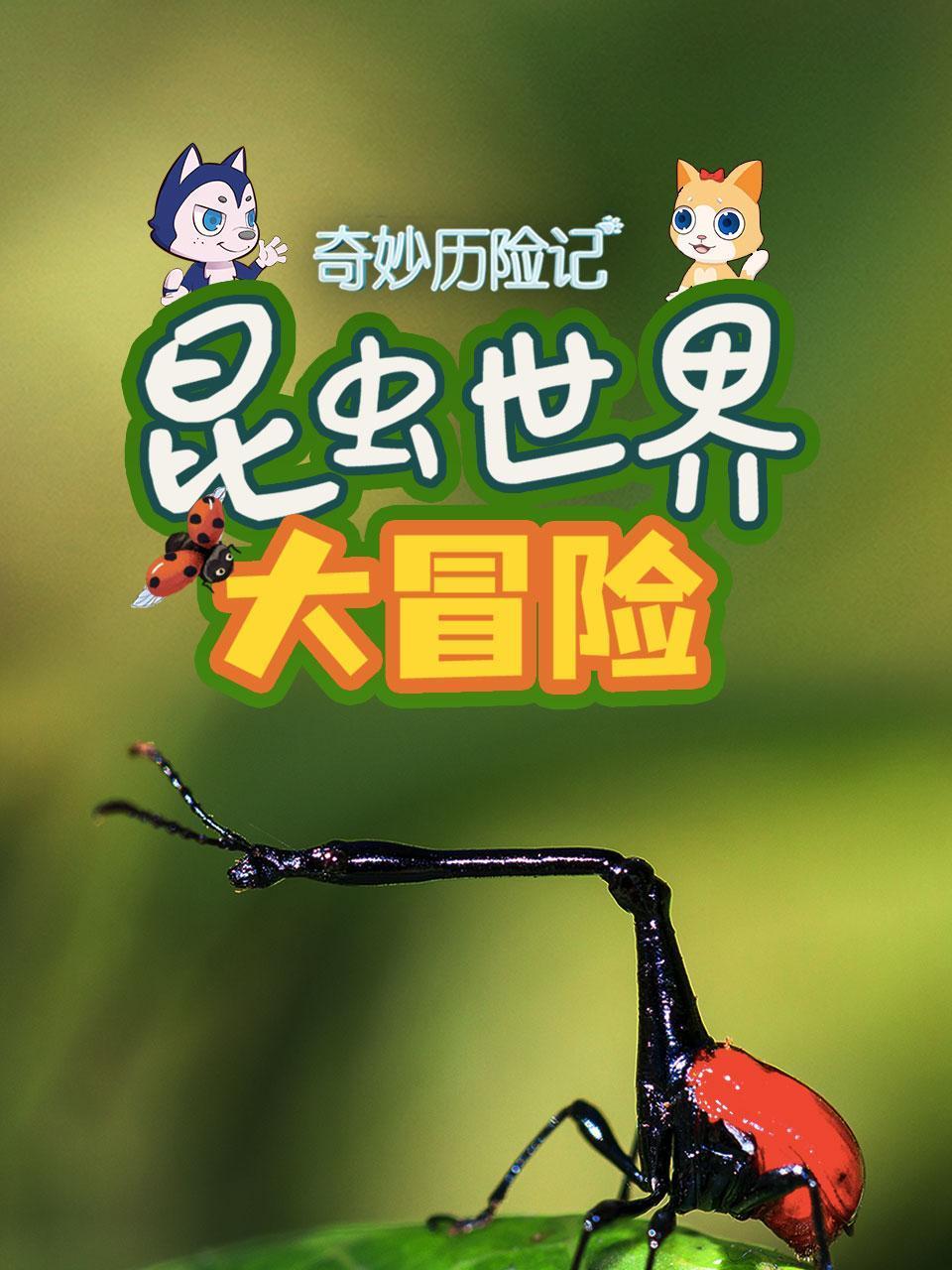 奇妙历险记昆虫世界大冒险