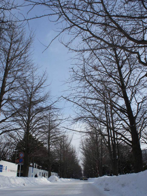 北海道特产展又如何