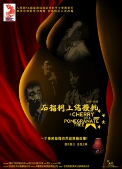 石榴树上结樱桃